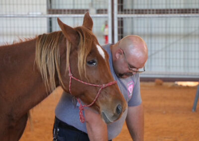 Warrior Horse