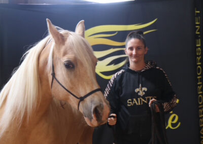 Warrior Horse
