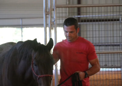 Warrior Horse