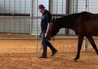 Warrior Horse